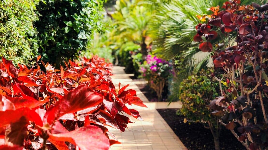 Holiday Club Playa Amadores